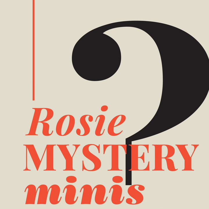 Rosie Mystery Mini Leather Bundle