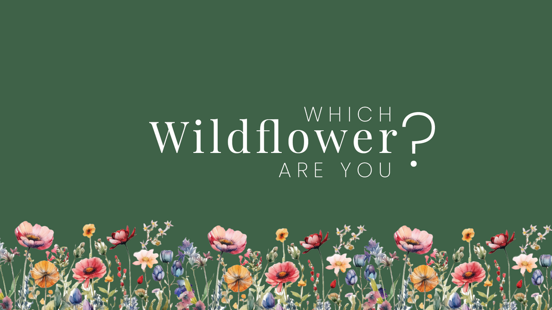 quiz, wildflower quiz, personality quiz, wildflowers