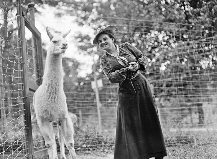 Harriet Chalmers Adams